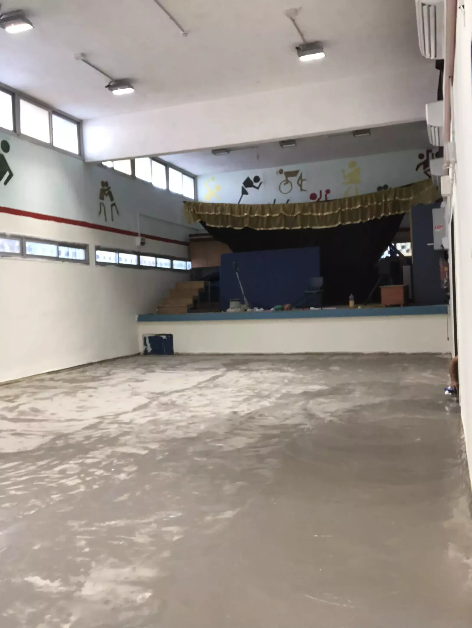 תיק עבודות — תמונה 12